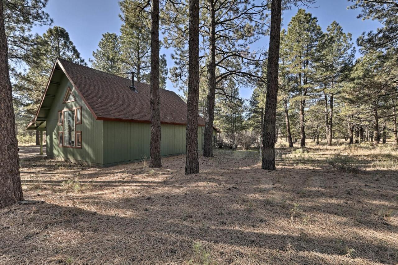 Family-Friendly Forested Home With Snow Play Area! FlagstaffFlagstaff  Kültér fotó